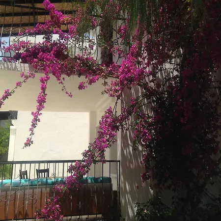 Hotel apartamentowy New Mandarin Bitez