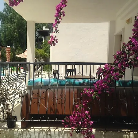 New Mandarin Битез