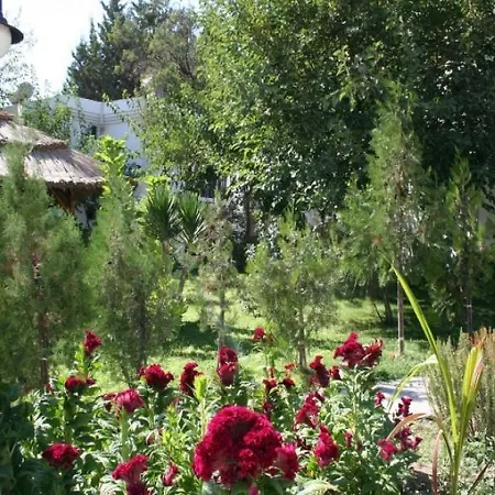 Hotel apartamentowy New Mandarin *