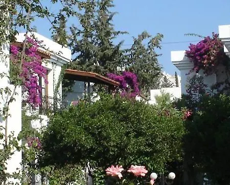 New Mandarin Битез