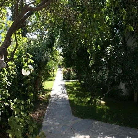 New Mandarin Битез