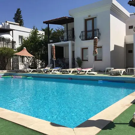 New Mandarin Битез