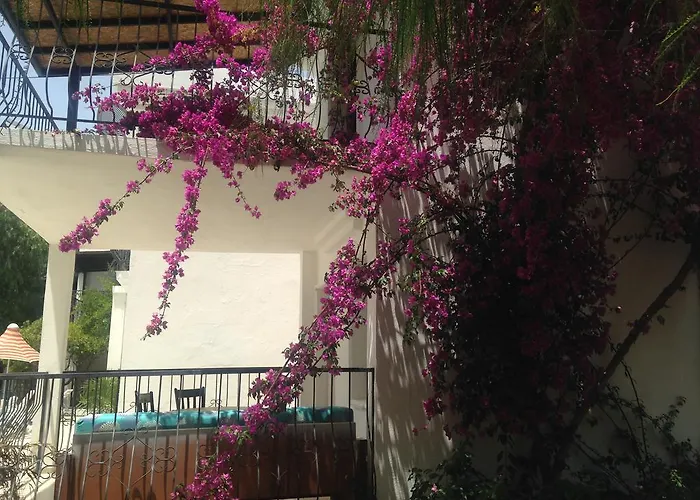 Aparthotel New Mandarin Bitez