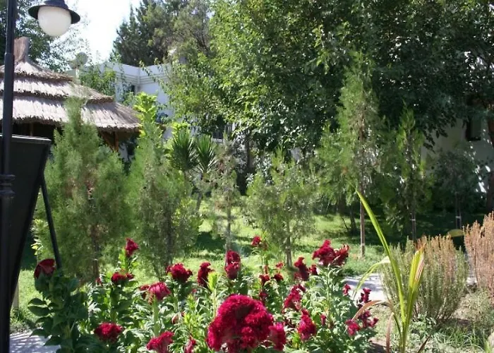 Aparthotel New Mandarin *